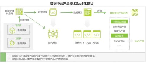 数字化转型中的数据中台 知识体系、应用场景与技术服务