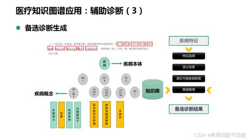 人工智能在医疗行业的应用 基于知识图谱的信息化技术方案与服务